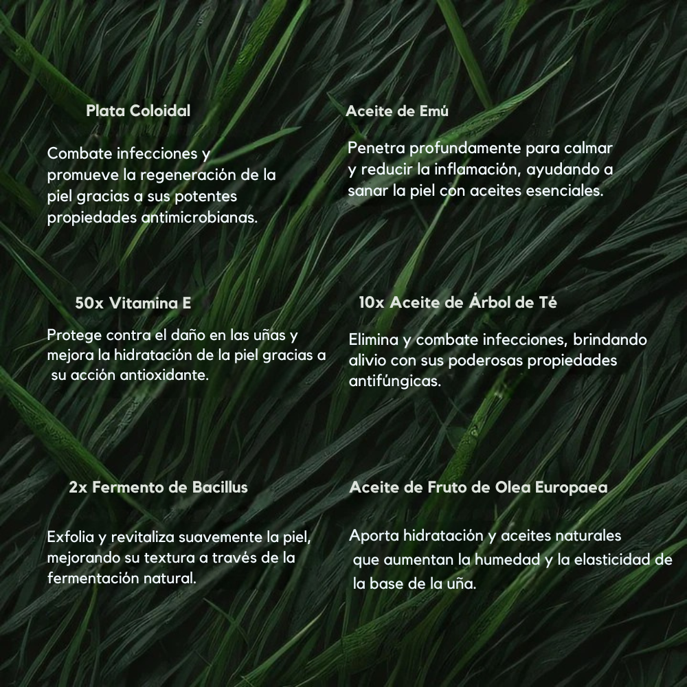 ByeFungus | Elimina los hongos de raíz