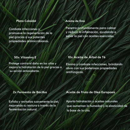 ByeFungus | Elimina los hongos de raíz